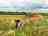 Rowbury Farm Camping (a kezelő által 2022.08.15. napon hozzáadott fénykép) Rowbury Farm Camping (a kezelő által 2022.08.15. napon hozzáadott fénykép)
