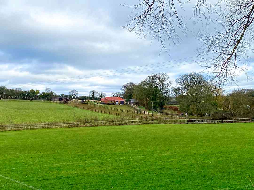 Dummer Down Farm (a kezelő által 2023.04.20. napon hozzáadott fénykép) Dummer Down Farm (a kezelő által 2023.04.20. napon hozzáadott fénykép)