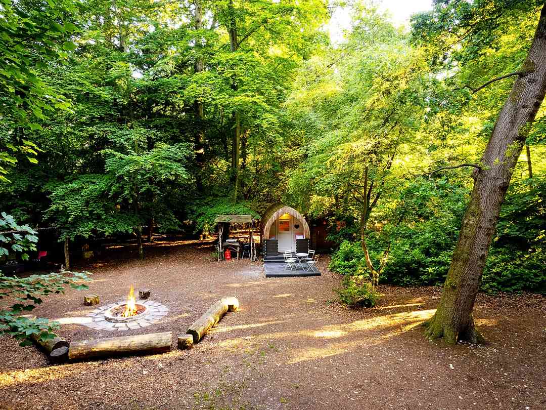 Hollington Park Glamping (a kezelő által 2022.06.29. napon hozzáadott fénykép) Hollington Park Glamping (a kezelő által 2022.06.29. napon hozzáadott fénykép)
