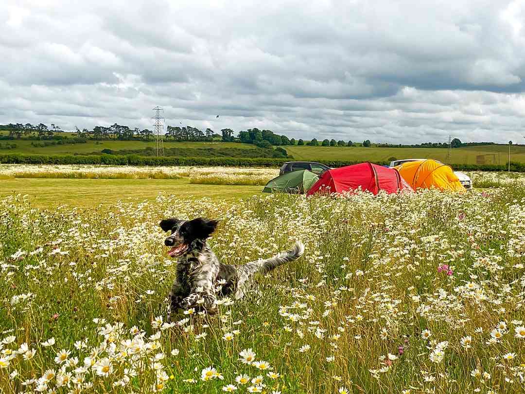Rowbury Farm Camping (a kezelő által 2022.08.15. napon hozzáadott fénykép) Rowbury Farm Camping (a kezelő által 2022.08.15. napon hozzáadott fénykép)
