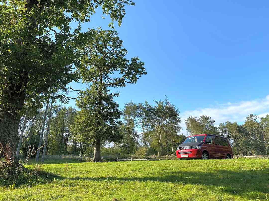 Woodlands Camping (a kezelő által 2021.08.28. napon hozzáadott fénykép) Woodlands Camping (a kezelő által 2021.08.28. napon hozzáadott fénykép)