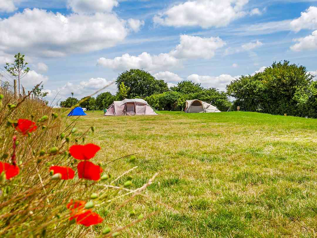 Watercress Lodges Campsite (a kezelő által 2022.08.17. napon hozzáadott fénykép) Watercress Lodges Campsite (a kezelő által 2022.08.17. napon hozzáadott fénykép)