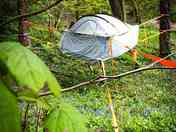 Treetop tent (added by manager 11 Jun 2023)