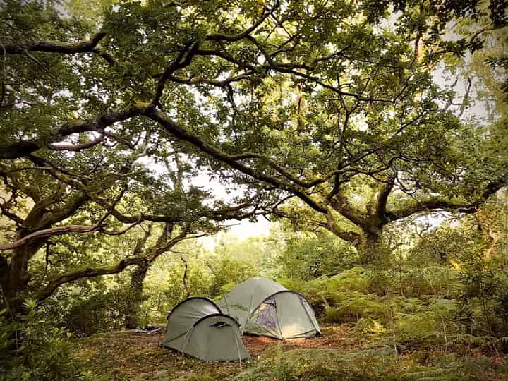 Camping i det vilda