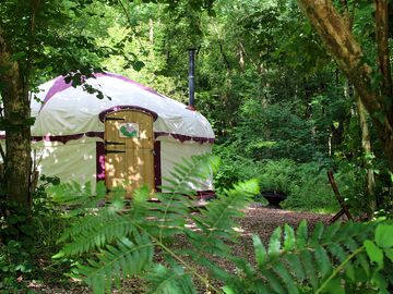 Woodland yurt set in its own private glade