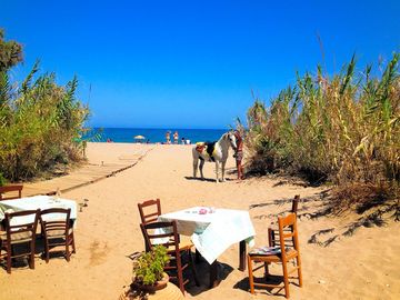 View from the taverna towards the sea (added by manager 23 Sep 2016)
