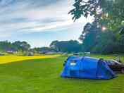 Grass pitches (added by manager 07 Jul 2021)