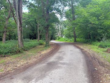 Lane from main road to the site