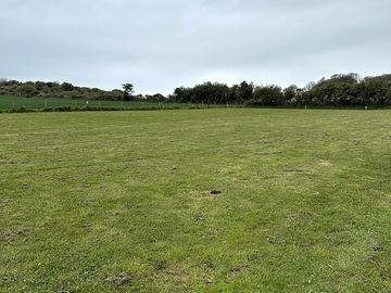 Grass