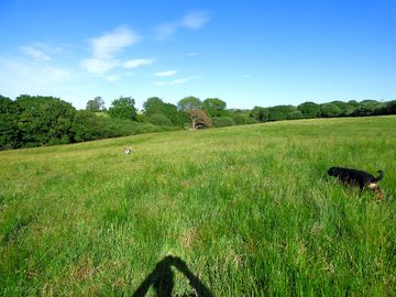 Peaceful surroundings