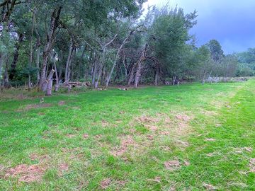 Campsite
