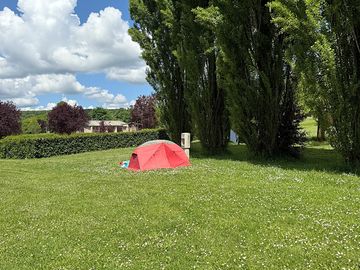 Pitch protected by mature trees