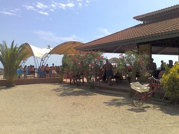 The site