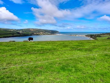 View from our van (added by sally_m237784 07 aug 2023)