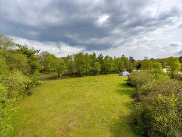 Grass pitches surrounded by trees