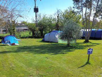 Electric grass pitch