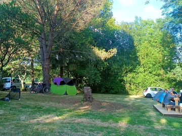 Pitches among the trees