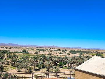 Pitches on the edge of the desert
