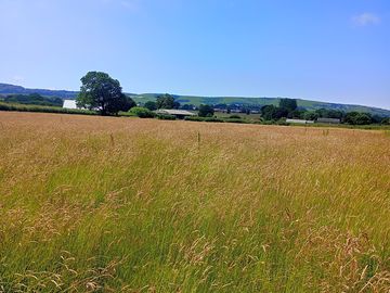 One of our camping fields