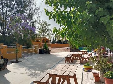 Outdoor seating