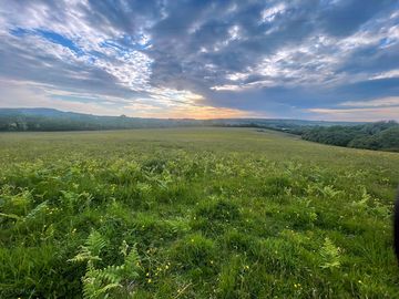 Evening sky at rusty meadow
