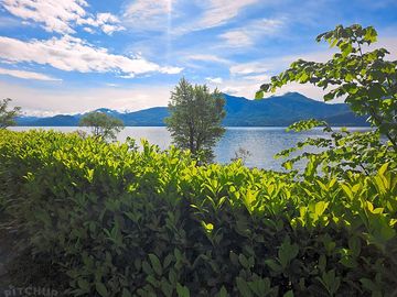 Views of the lake