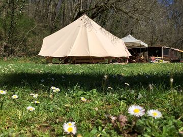 Bell tent with woods behind