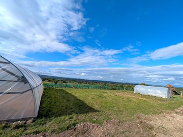 Tent pitches