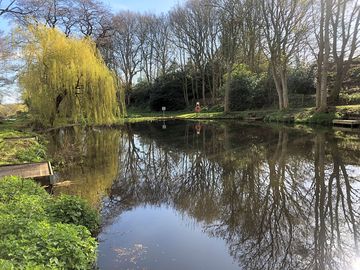 Willow lake
