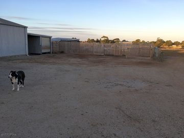 Around the site
