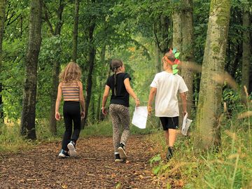 A beautiful 1.2km woodland nature trail around grove meadow