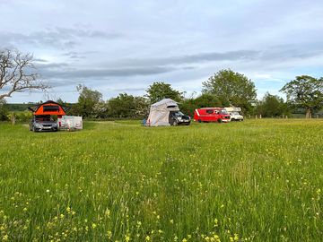 Campervan pitches