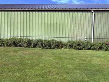 Pitch area