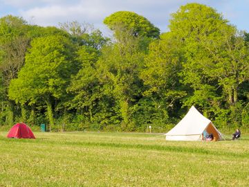 Grassy pitches