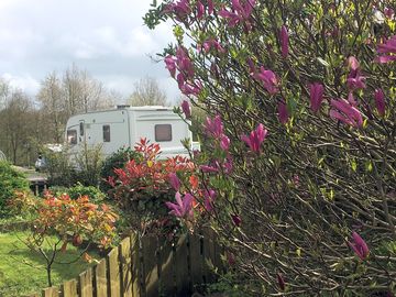 The flowers, trees and shrubs are often complimented. pitches are wide enough for caravan and awning (added by manager 08 may 2024)