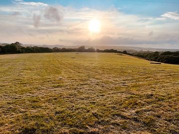 Beautiful evenings on the meadow