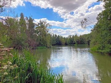 Kingfisher lake