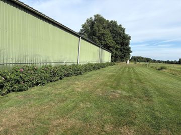 Around the site