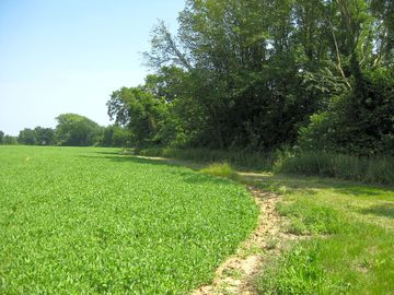 Pathway to climping street, the beach and the pub