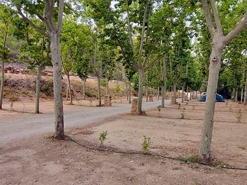 View of the site