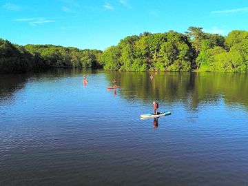 Paddleboarders on the water