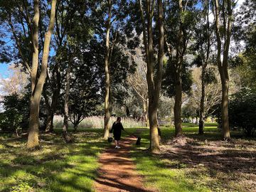 Pathway on site