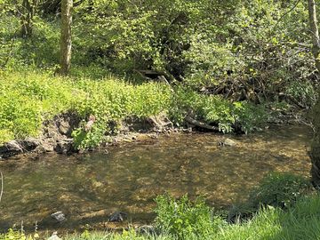 Stream on site