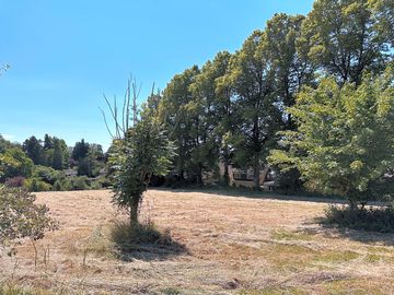 Site pitch area