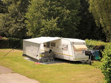 Spacious pitches separated by high hedges