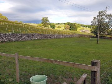 The site