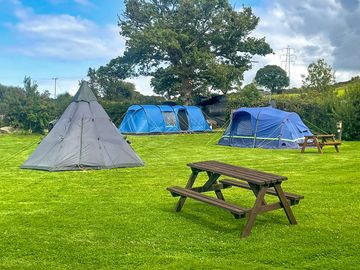 Electric tent pitches