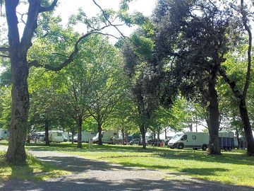 Pitches in shade or semi-shade
