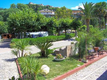 Trees and plants all around