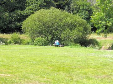 Relaxing spot in the tent-free field adjacent to our camping area.